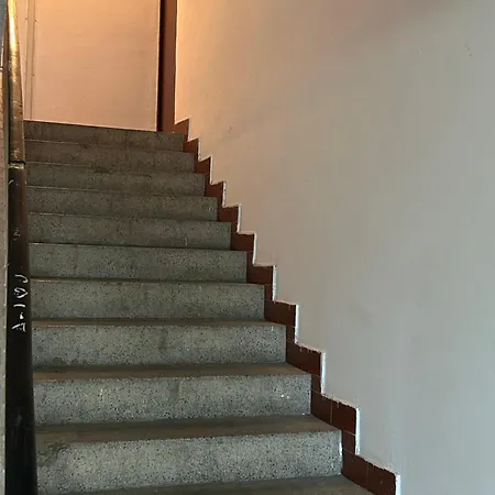 Aniida